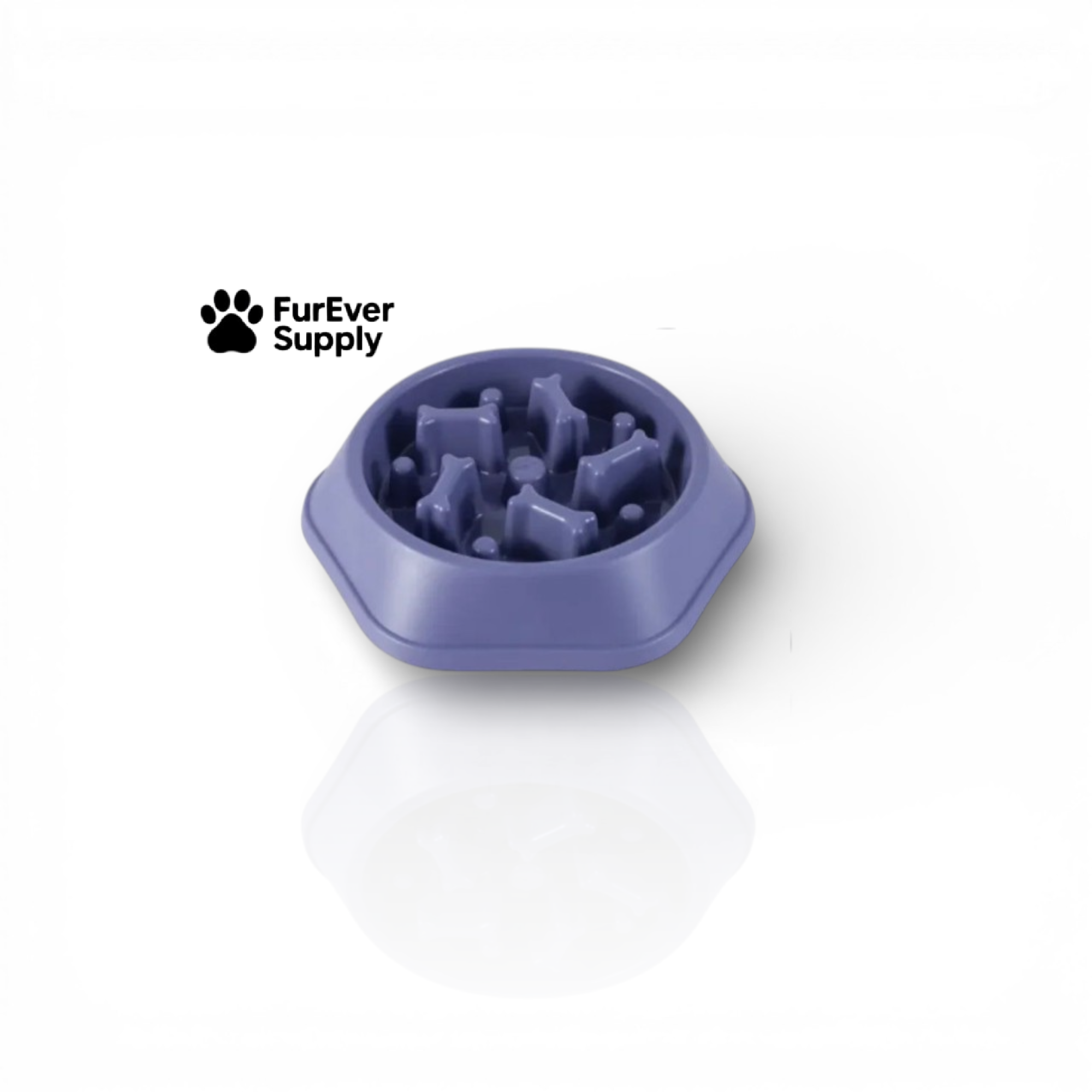 Slow Feeder Dog Bowl